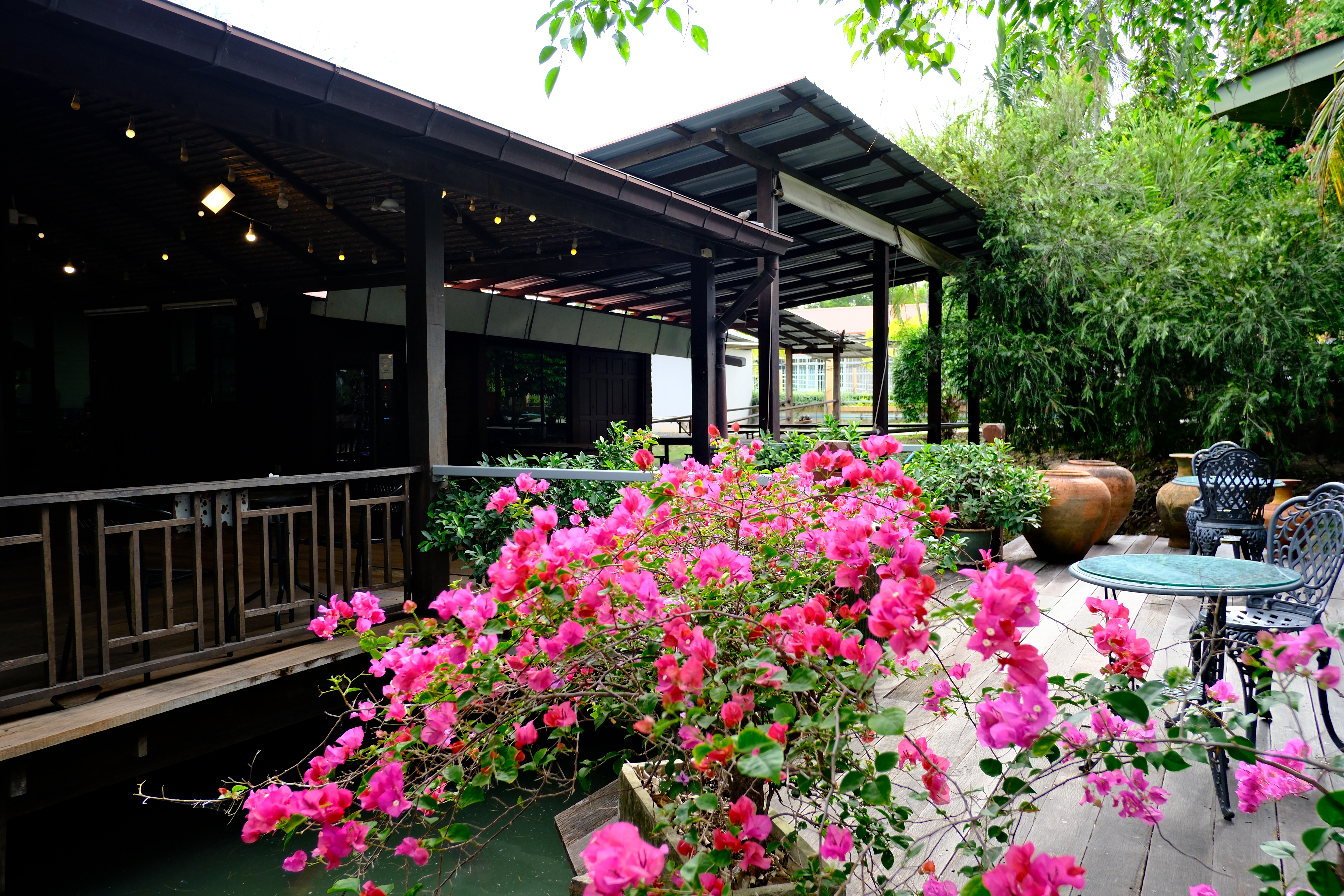 Resort gardens and pavilion